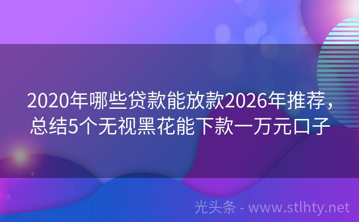 2020年哪些贷款能放款2026年推荐，总结5个无视黑花能下款一万元口子