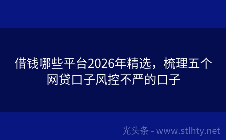 借钱哪些平台2026年精选，梳理五个网贷口子风控不严的口子
