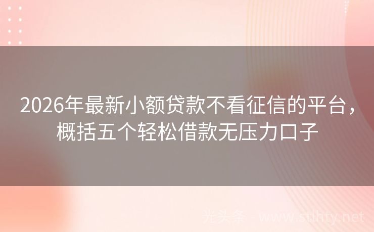 2026年最新小额贷款不看征信的平台，概括五个轻松借款无压力口子