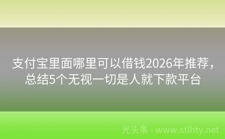 支付宝里面哪里可以借钱2026年推荐，总结5个无视一切是人就下款平台
