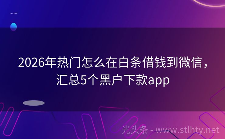 2026年热门怎么在白条借钱到微信，汇总5个黑户下款app