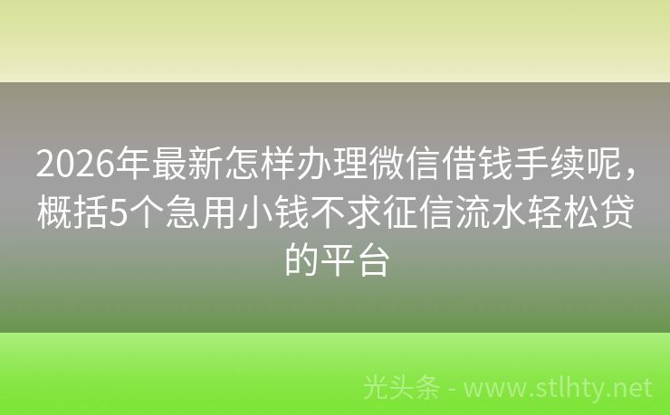 2026年最新怎样办理微信借钱手续呢，概括5个急用小钱不求征信流水轻松贷的平台
