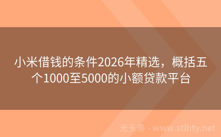 小米借钱的条件2026年精选，概括五个1000至5000的小额贷款平台