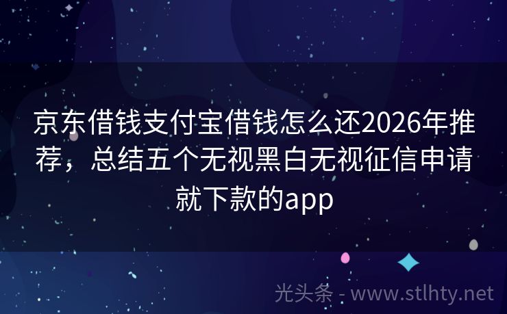 京东借钱支付宝借钱怎么还2026年推荐，总结五个无视黑白无视征信申请就下款的app