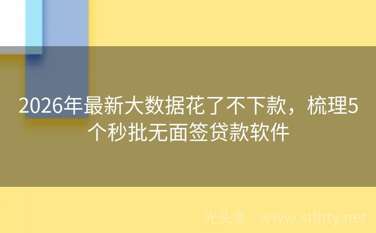 2026年最新大数据花了不下款，梳理5个秒批无面签贷款软件