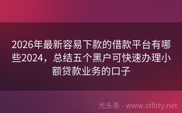 2026年最新容易下款的借款平台有哪些2024，总结五个黑户可快速办理小额贷款业务的口子