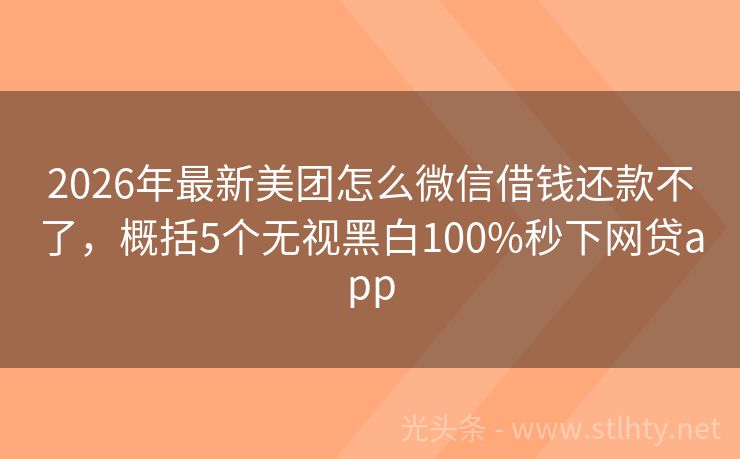 2026年最新美团怎么微信借钱还款不了，概括5个无视黑白100%秒下网贷app
