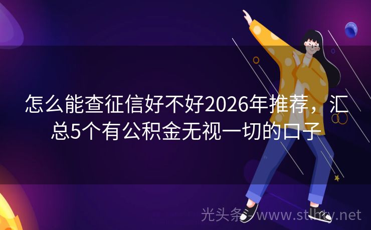 怎么能查征信好不好2026年推荐，汇总5个有公积金无视一切的口子