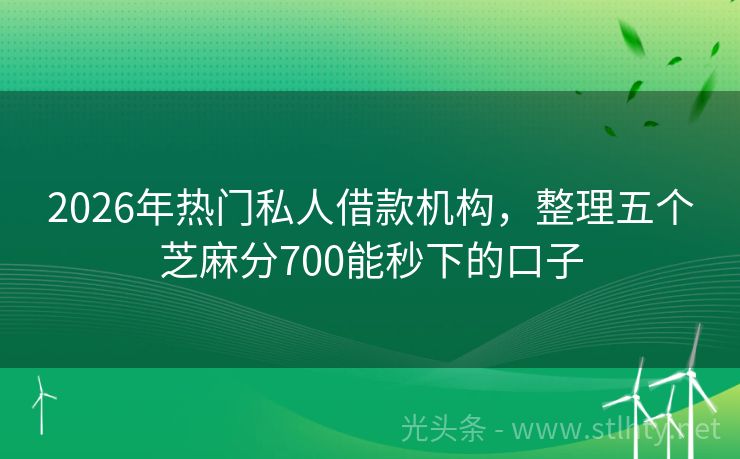 2026年热门私人借款机构，整理五个芝麻分700能秒下的口子