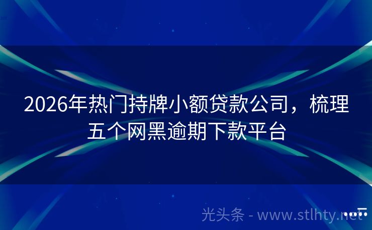 2026年热门持牌小额贷款公司，梳理五个网黑逾期下款平台