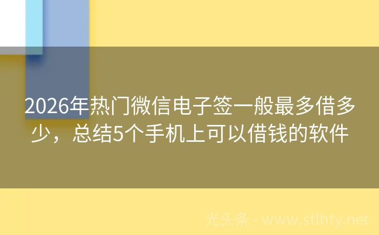 2026年热门微信电子签一般最多借多少，总结5个手机上可以借钱的软件