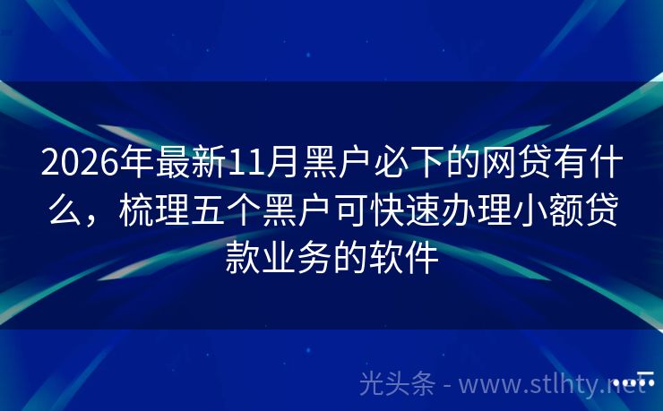 2026年最新11月黑户必下的网贷有什么，梳理五个黑户可快速办理小额贷款业务的软件