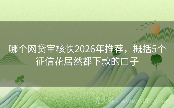 哪个网贷审核快2026年推荐，概括5个征信花居然都下款的口子