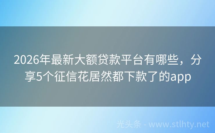 2026年最新大额贷款平台有哪些，分享5个征信花居然都下款了的app