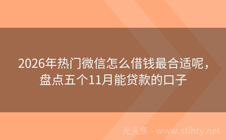 2026年热门微信怎么借钱最合适呢，盘点五个11月能贷款的口子
