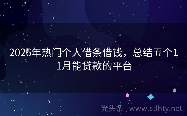 2026年热门个人借条借钱，总结五个11月能贷款的平台