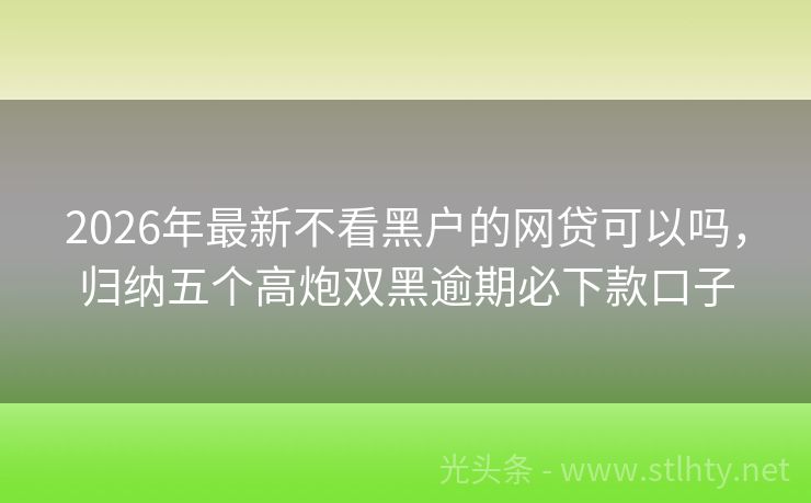 2026年最新不看黑户的网贷可以吗，归纳五个高炮双黑逾期必下款口子