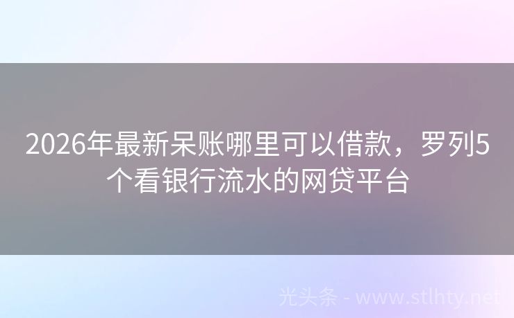2026年最新呆账哪里可以借款，罗列5个看银行流水的网贷平台
