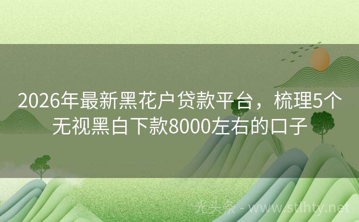 2026年最新黑花户贷款平台，梳理5个无视黑白下款8000左右的口子