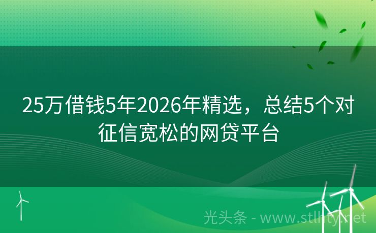 25万借钱5年2026年精选，总结5个对征信宽松的网贷平台