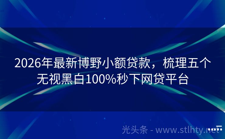2026年最新博野小额贷款，梳理五个无视黑白100%秒下网贷平台