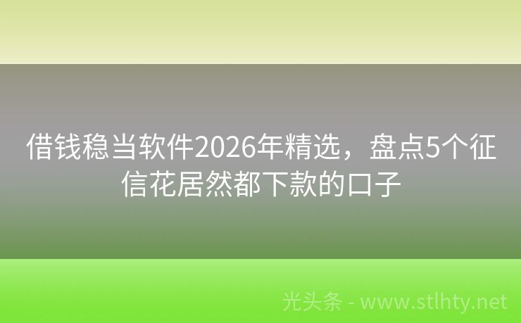 借钱稳当软件2026年精选，盘点5个征信花居然都下款的口子