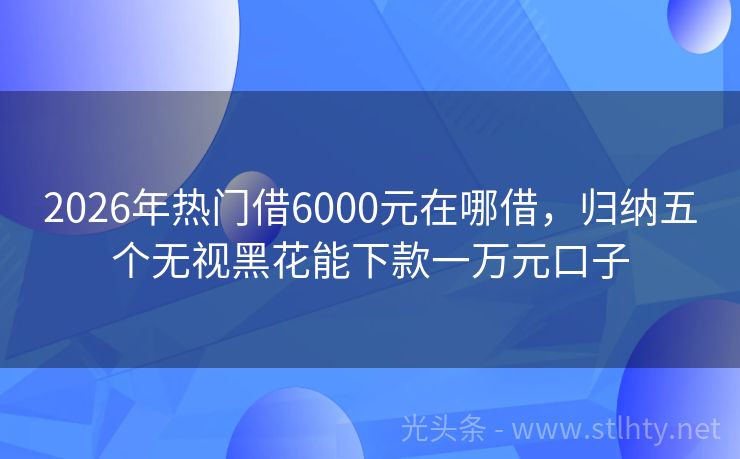 2026年热门借6000元在哪借，归纳五个无视黑花能下款一万元口子