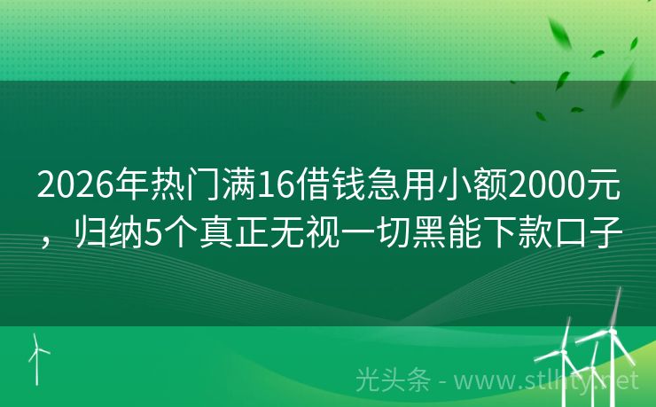 2026年热门满16借钱急用小额2000元，归纳5个真正无视一切黑能下款口子