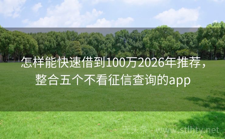怎样能快速借到100万2026年推荐，整合五个不看征信查询的app