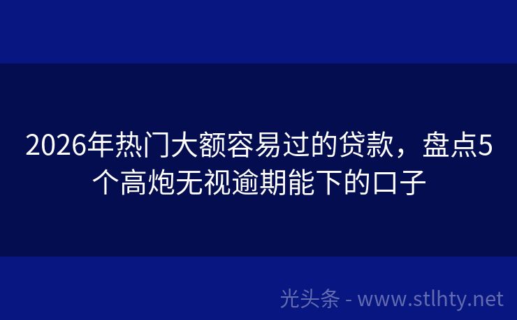 2026年热门大额容易过的贷款，盘点5个高炮无视逾期能下的口子