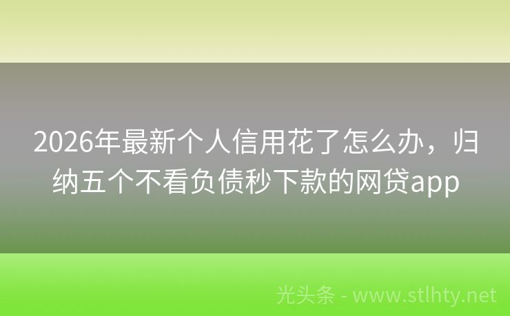 2026年最新个人信用花了怎么办，归纳五个不看负债秒下款的网贷app