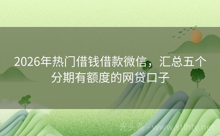 2026年热门借钱借款微信，汇总五个分期有额度的网贷口子