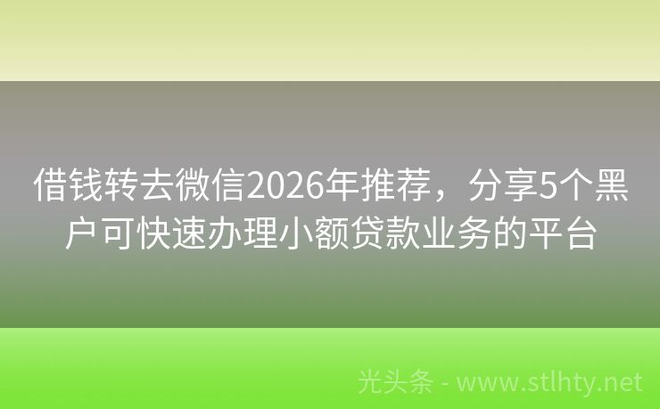 借钱转去微信2026年推荐，分享5个黑户可快速办理小额贷款业务的平台