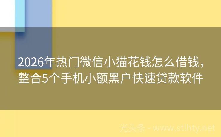 2026年热门微信小猫花钱怎么借钱，整合5个手机小额黑户快速贷款软件