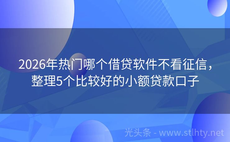 2026年热门哪个借贷软件不看征信，整理5个比较好的小额贷款口子