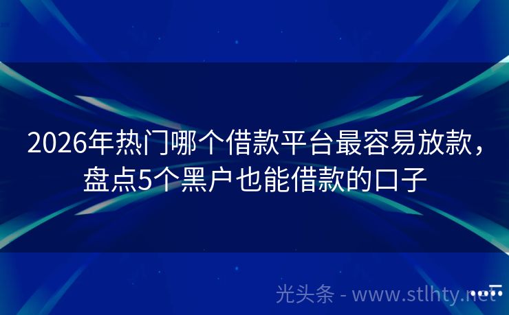 2026年热门哪个借款平台最容易放款，盘点5个黑户也能借款的口子