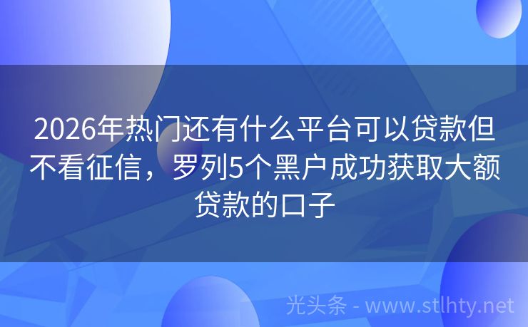 2026年热门还有什么平台可以贷款但不看征信，罗列5个黑户成功获取大额贷款的口子