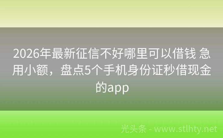 2026年最新征信不好哪里可以借钱 急用小额，盘点5个手机身份证秒借现金的app