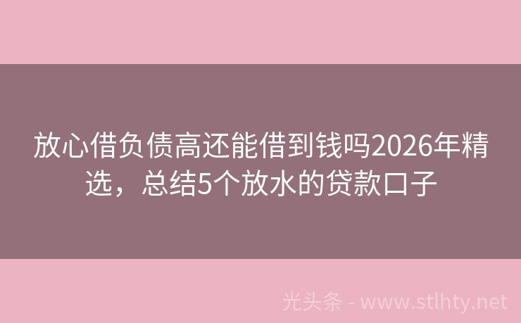 放心借负债高还能借到钱吗2026年精选，总结5个放水的贷款口子