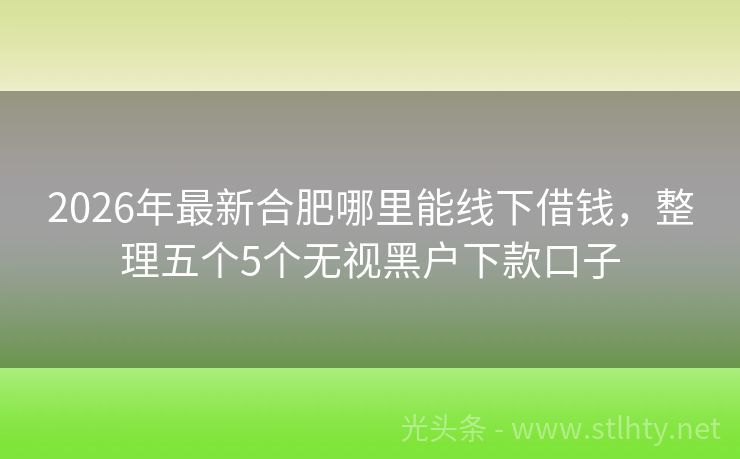 2026年最新合肥哪里能线下借钱，整理五个5个无视黑户下款口子