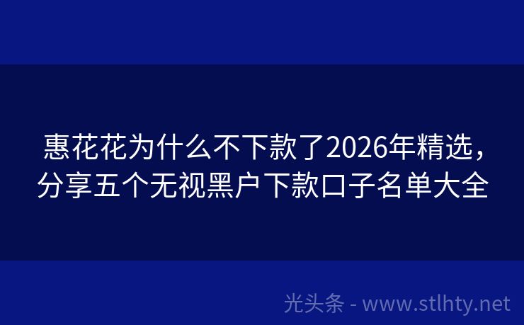 惠花花为什么不下款了2026年精选，分享五个无视黑户下款口子名单大全