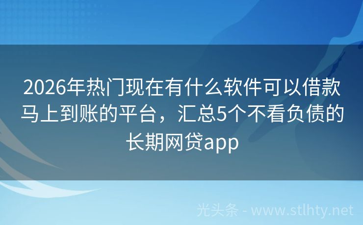 2026年热门现在有什么软件可以借款马上到账的平台，汇总5个不看负债的长期网贷app