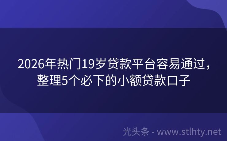 2026年热门19岁贷款平台容易通过，整理5个必下的小额贷款口子