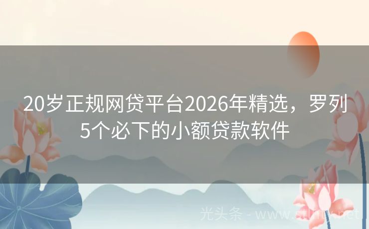 20岁正规网贷平台2026年精选，罗列5个必下的小额贷款软件