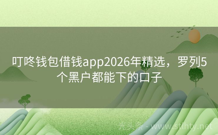 叮咚钱包借钱app2026年精选，罗列5个黑户都能下的口子