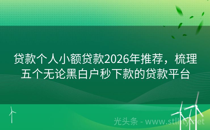 贷款个人小额贷款2026年推荐，梳理五个无论黑白户秒下款的贷款平台