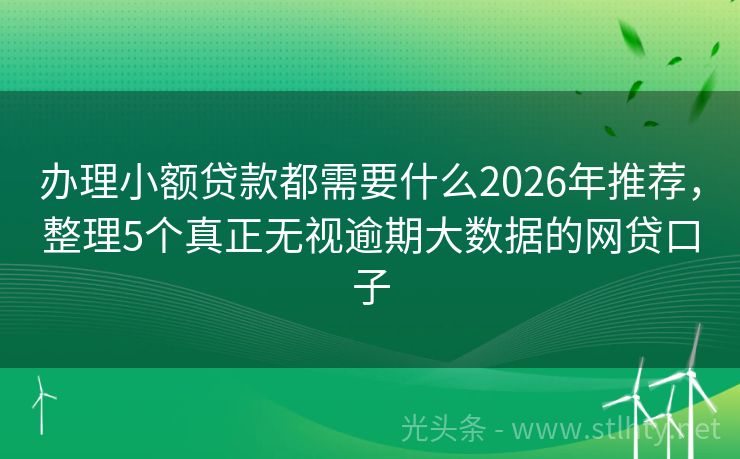 办理小额贷款都需要什么2026年推荐，整理5个真正无视逾期大数据的网贷口子
