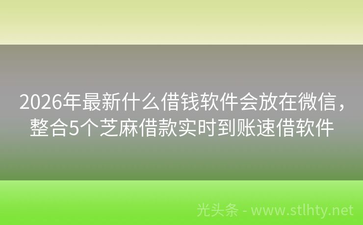 2026年最新什么借钱软件会放在微信，整合5个芝麻借款实时到账速借软件