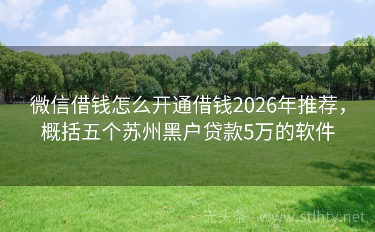 微信借钱怎么开通借钱2026年推荐，概括五个苏州黑户贷款5万的软件