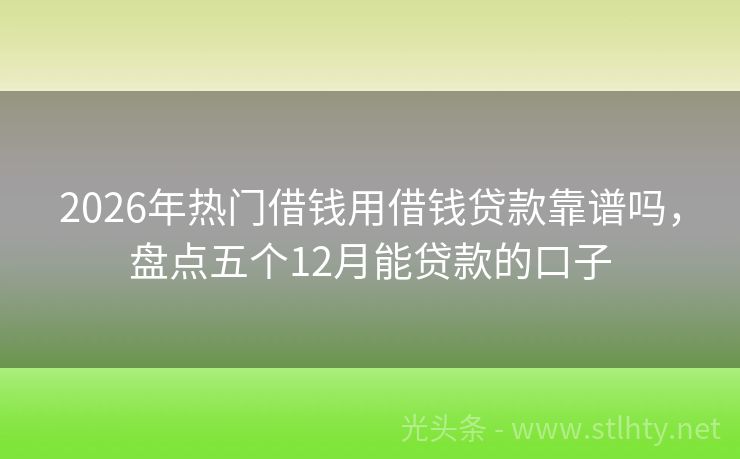 2026年热门借钱用借钱贷款靠谱吗，盘点五个12月能贷款的口子